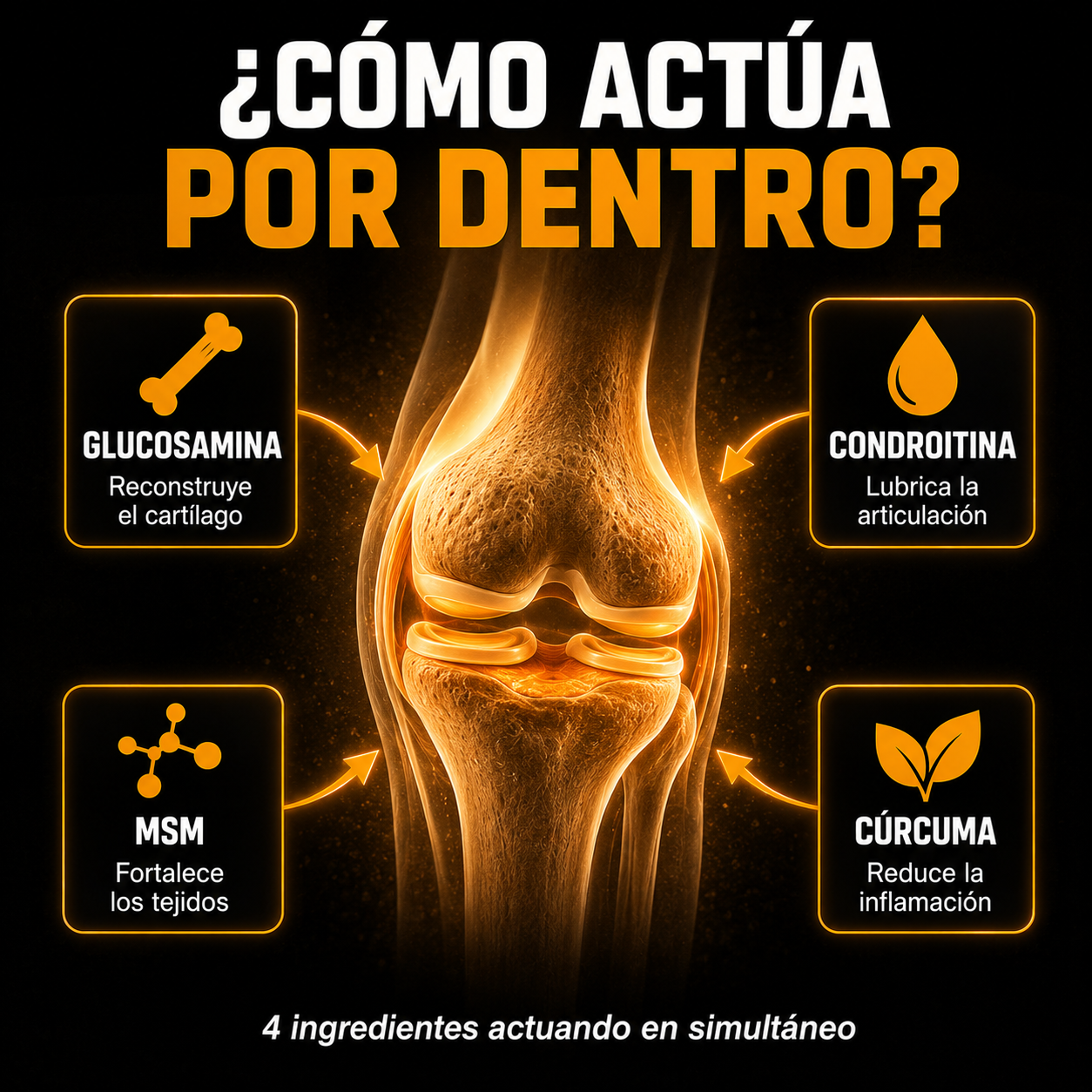 Joint Health® - Vive sin dolor en tus articulaciones